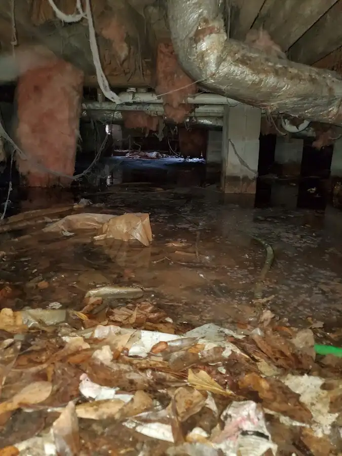 Crawl space flood assessment for Leak Detection & Repair in Kilgore